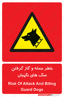 Dogs , هار , وحشی , حیوان , محافظ , 