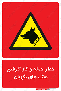 Dogs , هار , وحشی , حیوان , محافظ , 