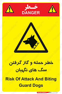 Dogs , هار , وحشی , حیوان , محافظ , 
