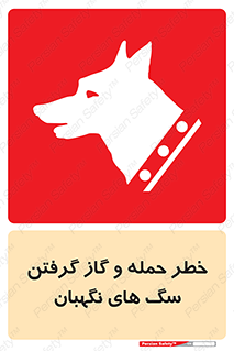 Dogs , هار , وحشی , حیوان , محافظ , 