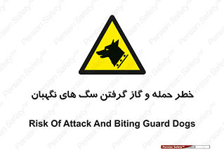 Dogs , هار , وحشی , حیوان , محافظ , 