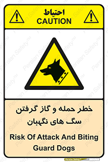 Dogs , هار , وحشی , حیوان , محافظ , 