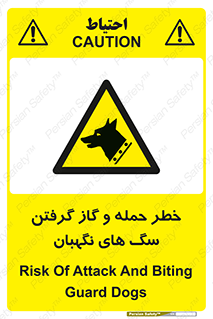 Dogs , هار , وحشی , حیوان , محافظ , 