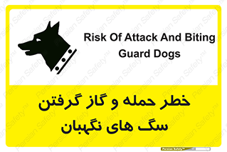 Dogs , هار , وحشی , حیوان , محافظ , 
