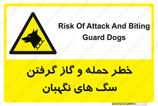 Dogs , هار , وحشی , حیوان , محافظ , 