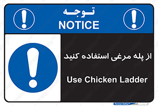 Chicken , Ladder , نردبان , لدر , 