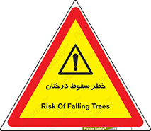  , افتادن , درخت , 