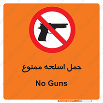  , همراه داشتن , سلاح , 