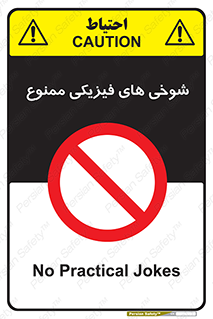  , دستی , لودگی , لطیفه , بذله , 