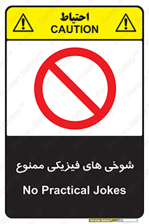  , دستی , لودگی , لطیفه , بذله , 