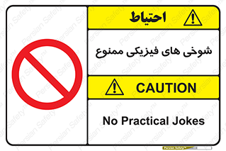  , دستی , لودگی , لطیفه , بذله , 