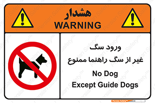 unauthorized , prohibited , cat , حیوانات , نگهبان , 