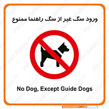 unauthorized , prohibited , cat , حیوانات , نگهبان , 