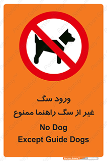 unauthorized , prohibited , cat , حیوانات , نگهبان , 