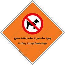 unauthorized , prohibited , cat , حیوانات , نگهبان , 