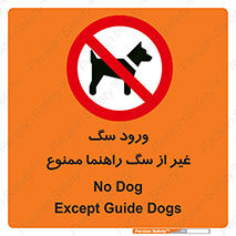unauthorized , prohibited , cat , حیوانات , نگهبان , 
