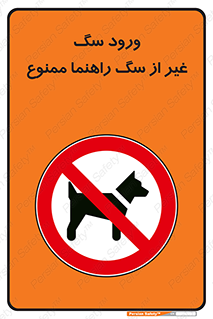 unauthorized , prohibited , cat , حیوانات , نگهبان , 
