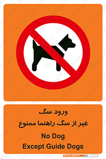 unauthorized , prohibited , cat , حیوانات , نگهبان , 