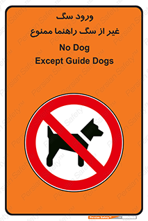 unauthorized , prohibited , cat , حیوانات , نگهبان , 