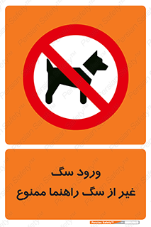 unauthorized , prohibited , cat , حیوانات , نگهبان , 