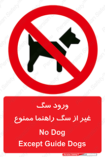 unauthorized , prohibited , cat , حیوانات , نگهبان , 