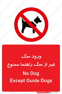 unauthorized , prohibited , cat , حیوانات , نگهبان , 
