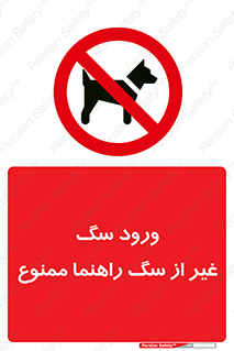 unauthorized , prohibited , cat , حیوانات , نگهبان , 