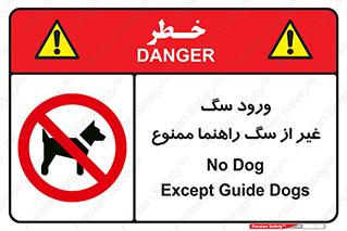 unauthorized , prohibited , cat , حیوانات , نگهبان , 