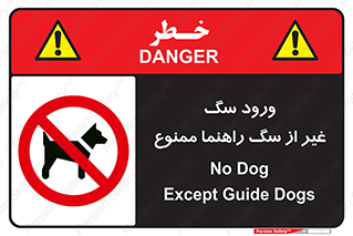 unauthorized , prohibited , cat , حیوانات , نگهبان , 