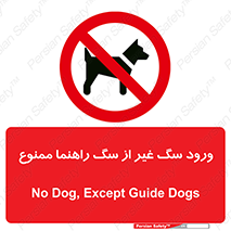 unauthorized , prohibited , cat , حیوانات , نگهبان , 