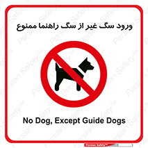 unauthorized , prohibited , cat , حیوانات , نگهبان , 