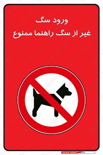 unauthorized , prohibited , cat , حیوانات , نگهبان , 