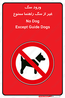 unauthorized , prohibited , cat , حیوانات , نگهبان , 