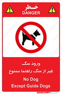 unauthorized , prohibited , cat , حیوانات , نگهبان , 
