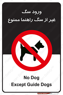 unauthorized , prohibited , cat , حیوانات , نگهبان , 