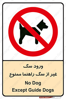 unauthorized , prohibited , cat , حیوانات , نگهبان , 