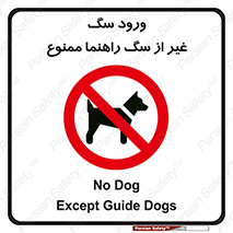 unauthorized , prohibited , cat , حیوانات , نگهبان , 