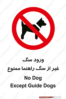 unauthorized , prohibited , cat , حیوانات , نگهبان , 