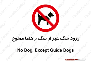 unauthorized , prohibited , cat , حیوانات , نگهبان , 