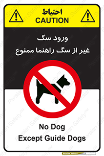 unauthorized , prohibited , cat , حیوانات , نگهبان , 
