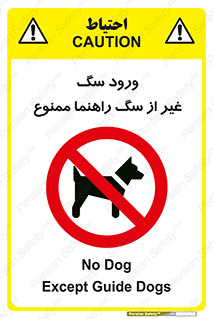 unauthorized , prohibited , cat , حیوانات , نگهبان , 
