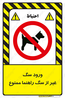 unauthorized , prohibited , cat , حیوانات , نگهبان , 