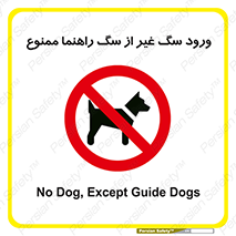 unauthorized , prohibited , cat , حیوانات , نگهبان , 