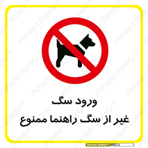 unauthorized , prohibited , cat , حیوانات , نگهبان , 