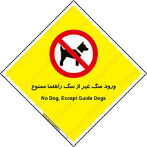 unauthorized , prohibited , cat , حیوانات , نگهبان , 