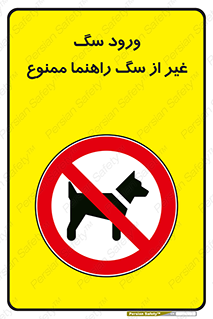 unauthorized , prohibited , cat , حیوانات , نگهبان , 