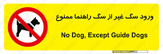 unauthorized , prohibited , cat , حیوانات , نگهبان , 
