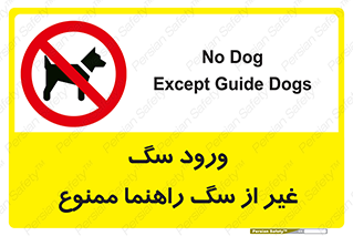unauthorized , prohibited , cat , حیوانات , نگهبان , 