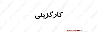 employment , نیروی انسانی , 