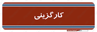 employment , نیروی انسانی , 
